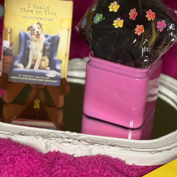 NWT Colors of the Rainbow Paw Prints Graphic T-Shirts - Picture 3 of 6